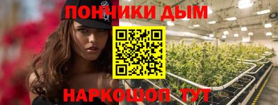 стафф Лесосибирск
