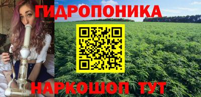 прущие грибы Ликино-Дулёво