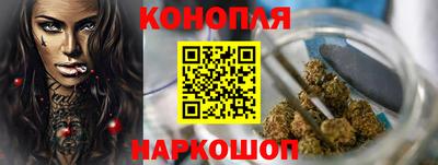 стафф Лесосибирск